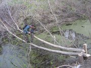 IMG_1542.JPG