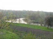 IMG_1547.JPG