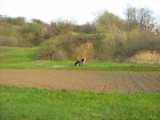 IMG_1551.JPG