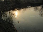 IMG_1552.JPG