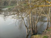 IMG_1553.JPG