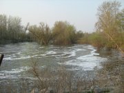 IMG_1554.JPG