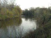IMG_1561.JPG