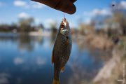 20130421_Fishing_BasivKut_044[1].jpg