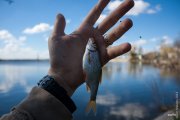 20130421_Fishing_BasivKut_034[1].jpg