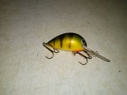 DSC_0111.jpg