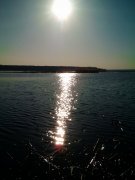 IMAG1027-1.jpg