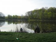 IMG_1570.JPG