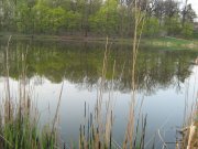 IMG_1565.JPG
