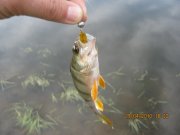 IMG_0563.JPG