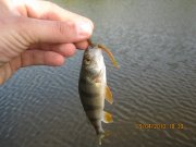 IMG_0564.JPG