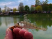 IMAG1056-3.jpg