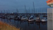 SAM_0800.JPG