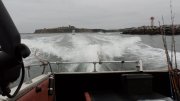 SAM_0803.JPG