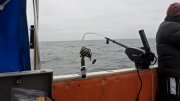 SAM_0806.JPG