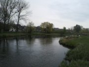 IMG0020A.jpg