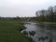 IMG0021A.jpg