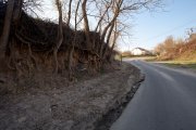 IMG_4961.jpg