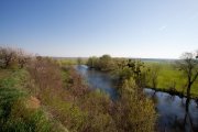 IMG_4976.jpg