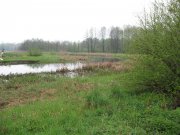 IMG_0612.JPG
