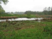 IMG_0613.JPG