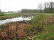 IMG_0614.JPG