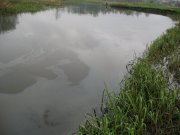 IMG_0605.JPG