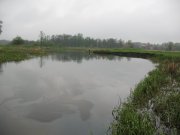 IMG_0606.JPG