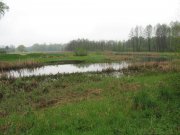 IMG_0611.JPG