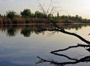 IMG_1915.jpg