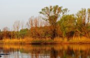 IMG_1916.jpg