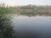 IMG_1342.JPG