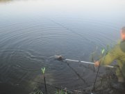 IMG_1344.JPG