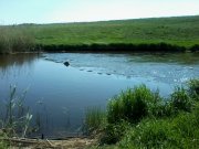 Фото-0102.jpg
