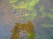 IMG_0879.JPG