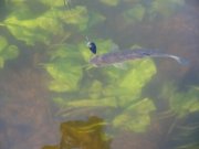 IMG_0881.JPG