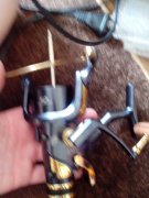 IMG_20130507_160944.jpg