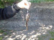 2013-05-09 08.19.31.jpg