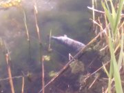 IMG193.jpg