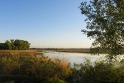 IMG_1966_resize.jpg