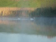 P5112796 [].JPG