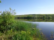 DSC01055.JPG