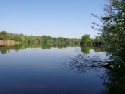 DSC01061.JPG