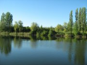 IMG_1622.JPG
