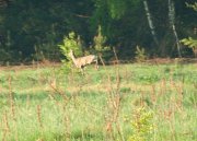 IMG_5746.jpg