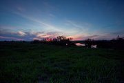 IMG_5926.jpg