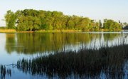 IMG_1985.jpg