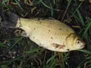 IMG_1989.jpg