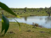 DSCN1479.JPG