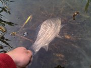 IMG_20130512_085806.jpg